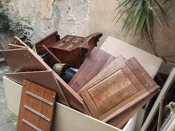Best Dumpster Rental Services  in Wayne City, IL